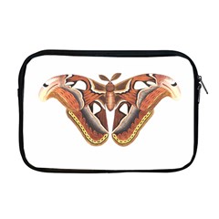 Butterfly Animal Insect Isolated Apple Macbook Pro 17  Zipper Case by Simbadda