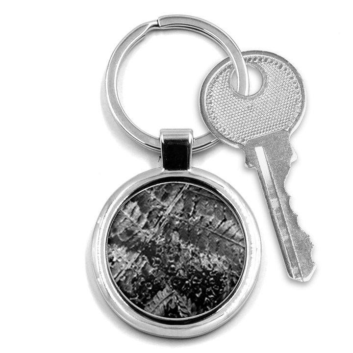 Fern Raindrops Spiderweb Cobweb Key Chains (Round) 