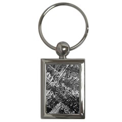 Fern Raindrops Spiderweb Cobweb Key Chains (rectangle)  by Simbadda