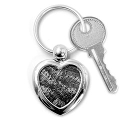 Fern Raindrops Spiderweb Cobweb Key Chains (heart)  by Simbadda