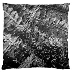 Fern Raindrops Spiderweb Cobweb Large Cushion Case (one Side) by Simbadda