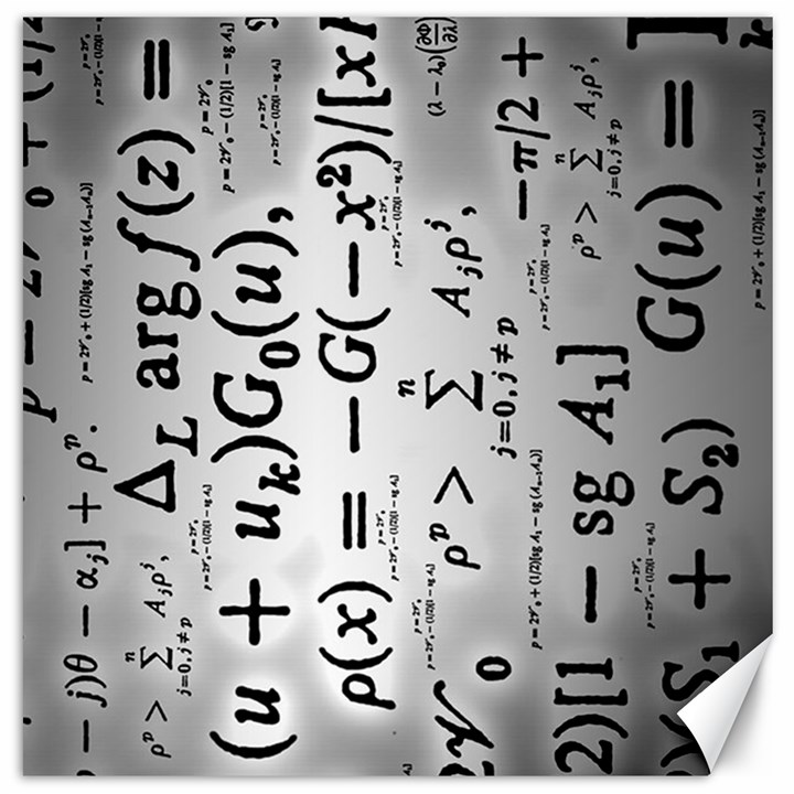 Science Formulas Canvas 20  x 20  