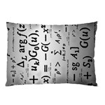 Science Formulas Pillow Case 26.62 x18.9  Pillow Case