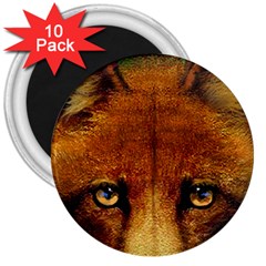 Fox 3  Magnets (10 Pack)  by Simbadda