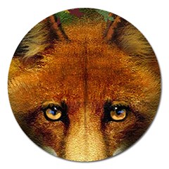 Fox Magnet 5  (round) by Simbadda