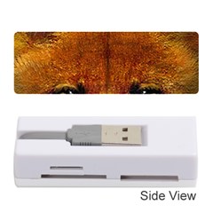 Fox Memory Card Reader (stick) 