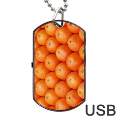 Orange Fruit Dog Tag Usb Flash (one Side) by Simbadda