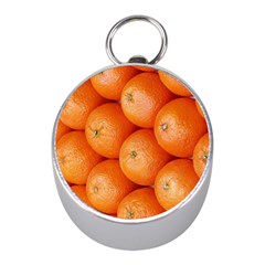 Orange Fruit Mini Silver Compasses