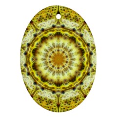 Fractal Flower Oval Ornament (two Sides) by Simbadda