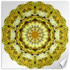 Fractal Flower Canvas 12  X 12   by Simbadda