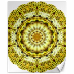 Fractal Flower Canvas 11  X 14   by Simbadda