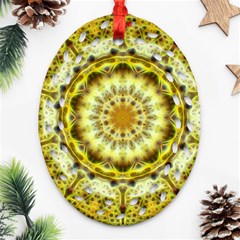 Fractal Flower Oval Filigree Ornament (two Sides) by Simbadda