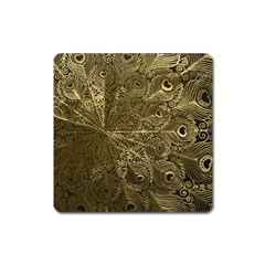 Peacock Metal Tray Square Magnet by Simbadda