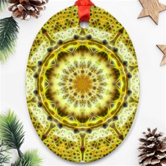 Fractal Flower Oval Ornament (two Sides) by Simbadda