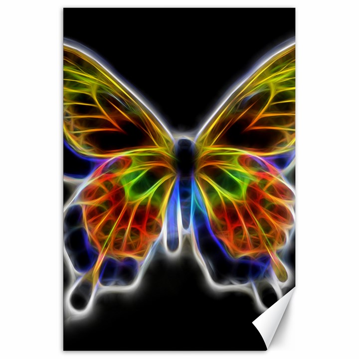 Fractal Butterfly Canvas 20  x 30  