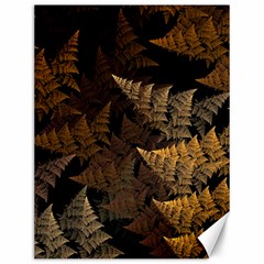 Fractal Fern Canvas 12  X 16   by Simbadda