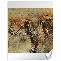 Vintage Owl Canvas 12  X 16   by Valentinaart