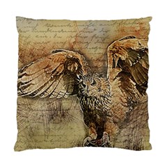 Vintage Owl Standard Cushion Case (two Sides) by Valentinaart