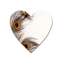 Peacock Feathery Background Heart Magnet by Simbadda