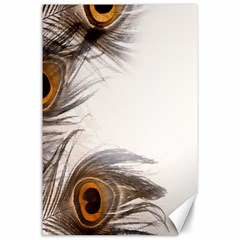 Peacock Feathery Background Canvas 24  X 36  by Simbadda