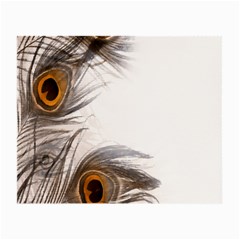 Peacock Feathery Background Small Glasses Cloth (2-side) by Simbadda