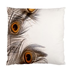 Peacock Feathery Background Standard Cushion Case (two Sides) by Simbadda