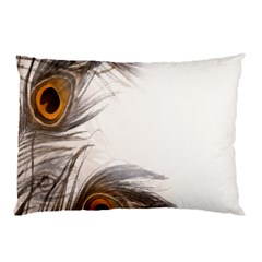 Peacock Feathery Background Pillow Case by Simbadda