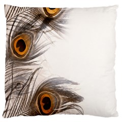 Peacock Feathery Background Large Flano Cushion Case (one Side) by Simbadda