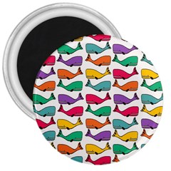 Small Rainbow Whales 3  Magnets by Simbadda