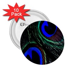 Peacock Feather 2 25  Buttons (10 Pack)  by Simbadda