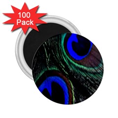 Peacock Feather 2 25  Magnets (100 Pack)  by Simbadda