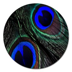 Peacock Feather Magnet 5  (round) by Simbadda