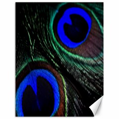 Peacock Feather Canvas 12  X 16   by Simbadda