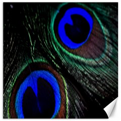 Peacock Feather Canvas 16  X 16   by Simbadda