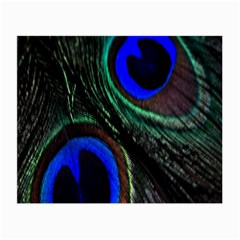 Peacock Feather Small Glasses Cloth (2-side) by Simbadda