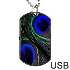 Peacock Feather Dog Tag Usb Flash (one Side) by Simbadda