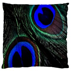 Peacock Feather Large Cushion Case (one Side) by Simbadda