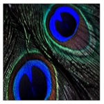 Peacock Feather Large Satin Scarf (Square) Front