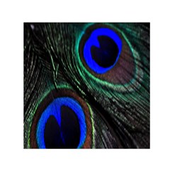 Peacock Feather Small Satin Scarf (square) by Simbadda