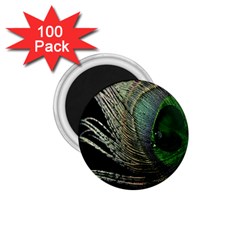 Feather Peacock Drops Green 1 75  Magnets (100 Pack)  by Simbadda