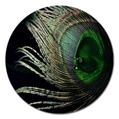 Feather Peacock Drops Green Magnet 5  (round) by Simbadda