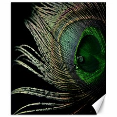 Feather Peacock Drops Green Canvas 8  X 10  by Simbadda