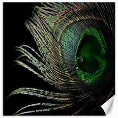 Feather Peacock Drops Green Canvas 16  X 16   by Simbadda