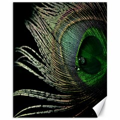 Feather Peacock Drops Green Canvas 11  X 14   by Simbadda