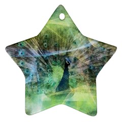 Digitally Painted Abstract Style Watercolour Painting Of A Peacock Ornament (star) by Simbadda