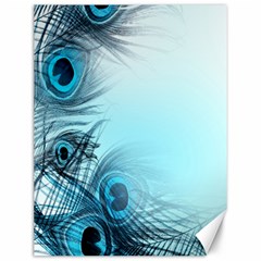 Feathery Background Canvas 12  X 16   by Simbadda