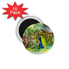 Peacock Digital Painting 1 75  Magnets (10 Pack)  by Simbadda