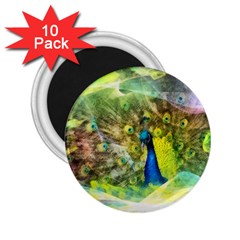 Peacock Digital Painting 2 25  Magnets (10 Pack)  by Simbadda