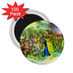 Peacock Digital Painting 2 25  Magnets (100 Pack)  by Simbadda