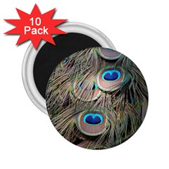 Colorful Peacock Feathers Background 2 25  Magnets (10 Pack)  by Simbadda